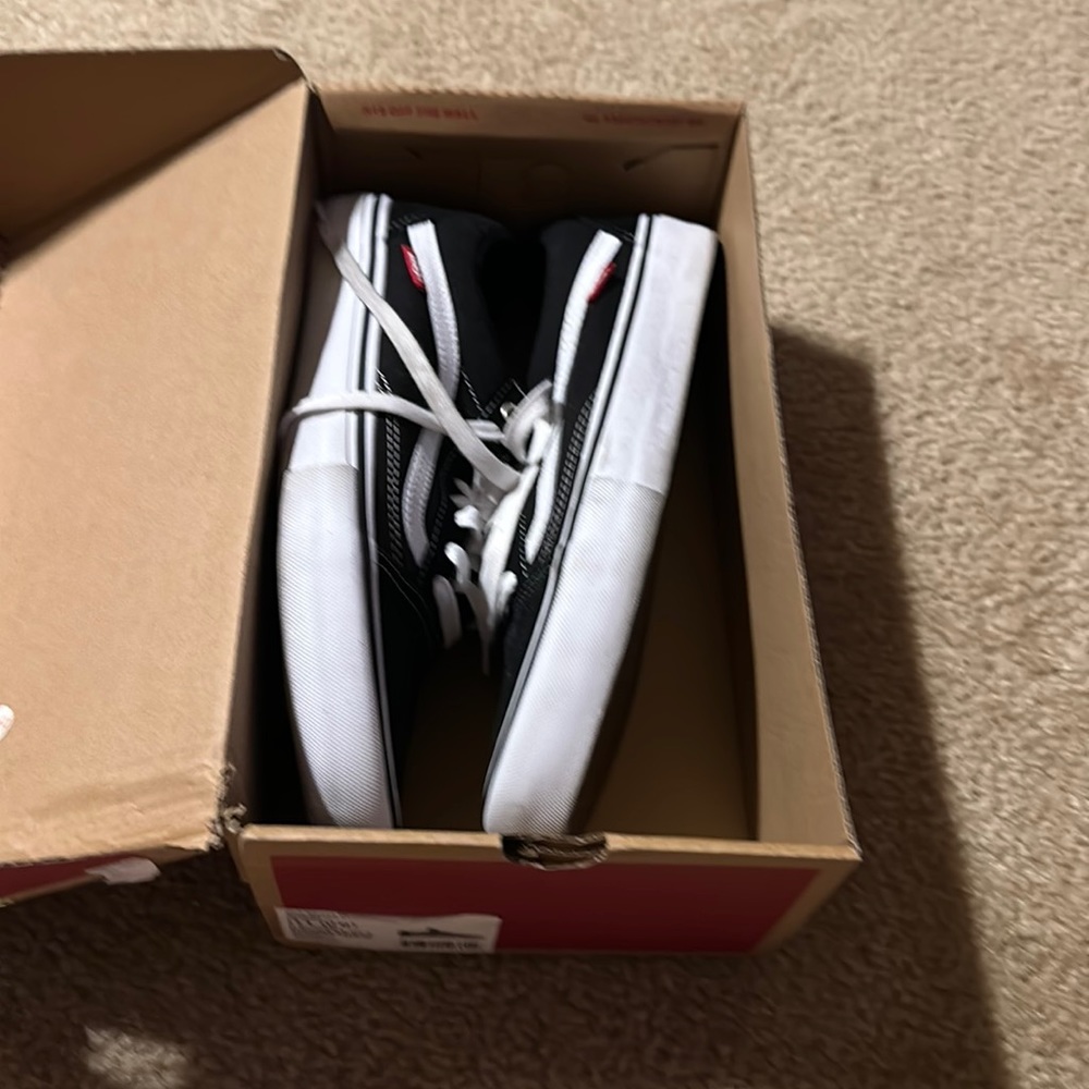 Men’s Old Skool Pro Vans